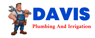 Trusted plumber in LAWTELL